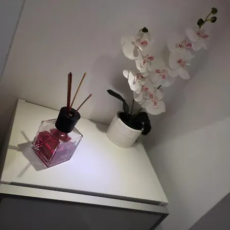 Apartment Il Belvedere